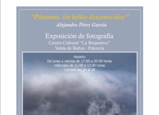 foto venta exposición