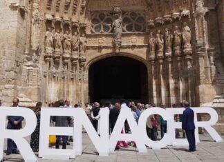 Renacer catedral Palencia