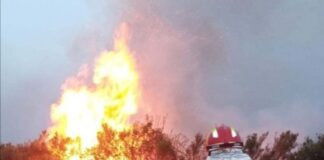 incendio Sierra culebra Zamora