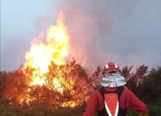 incendio Sierra culebra Zamora