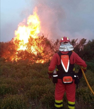 incendio Sierra culebra Zamora