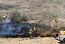 incendio forestal palencia