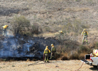 incendio forestal palencia