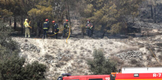 incendio forestal palencia