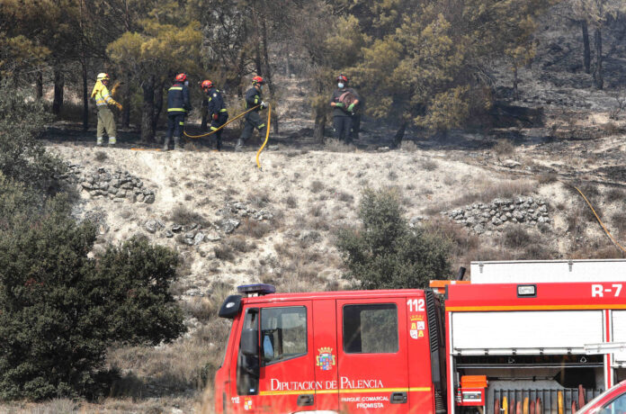 incendio forestal palencia