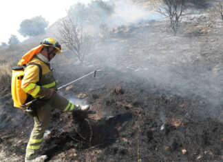 incendio forestal palencia