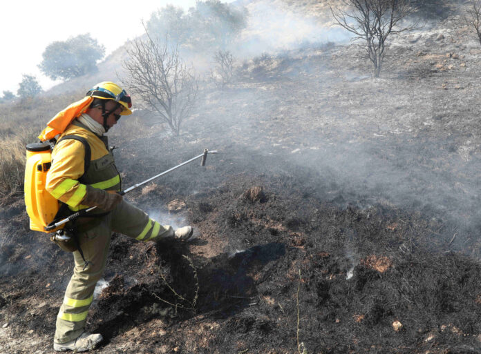 incendio forestal palencia