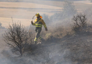 incendio forestal palencia