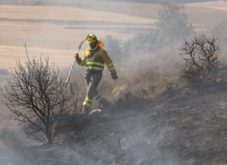 incendio forestal palencia