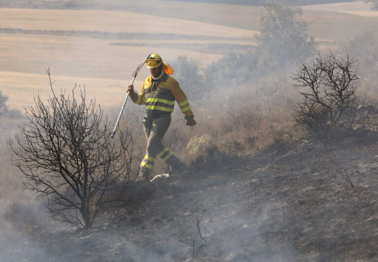 incendio forestal palencia