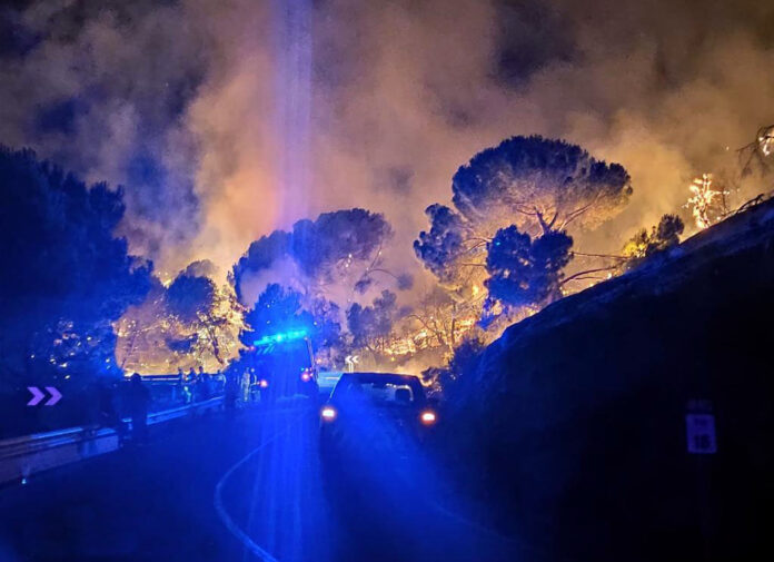 Incendios forestales