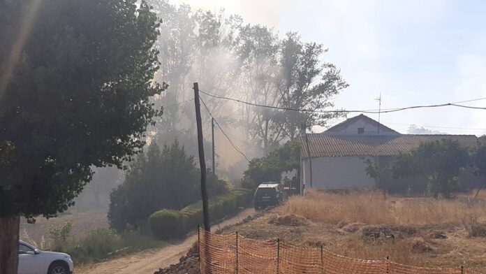 Arde la orilla del río en Palencia