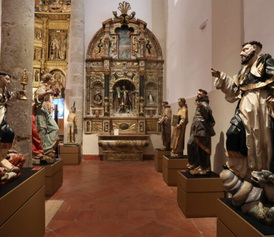 Campos del renacimientos