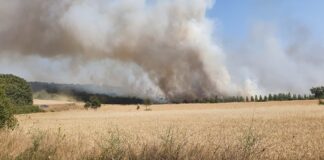 Incendio Saldaña