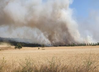 Incendio Saldaña