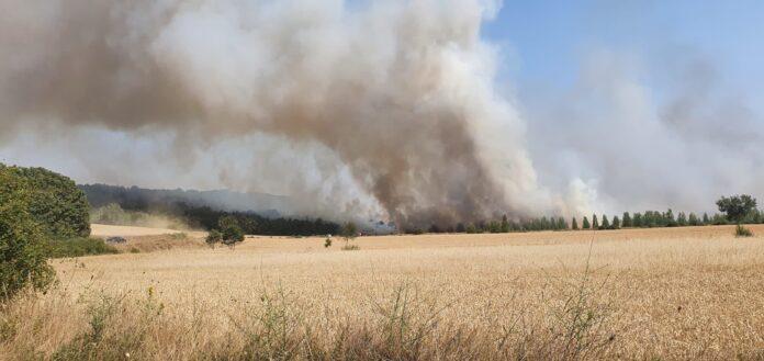 Incendio Saldaña