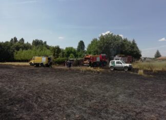 Incendio vivero forestal Velilla