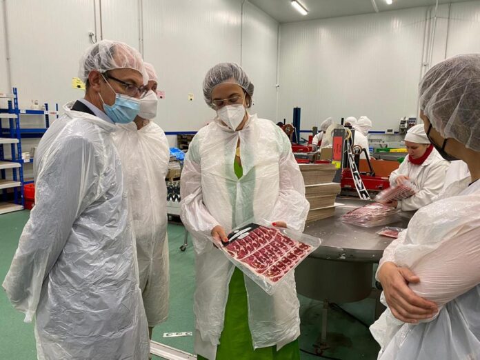 Visita System Lonch 2