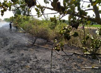 incendio ampudia palencia