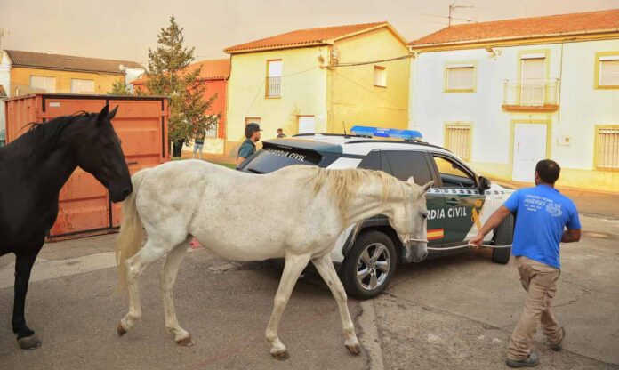 desalojo en Guadapero y Morasverdes, Salamanca, por el incendio de Monsagro - Jose Vicente ICAL