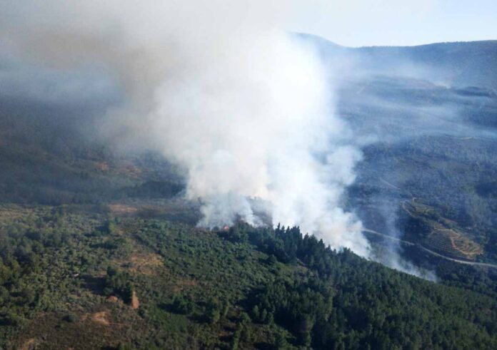 incendio villanueva del conde salamanca 9 julio 2022 AGENCIA ICAL