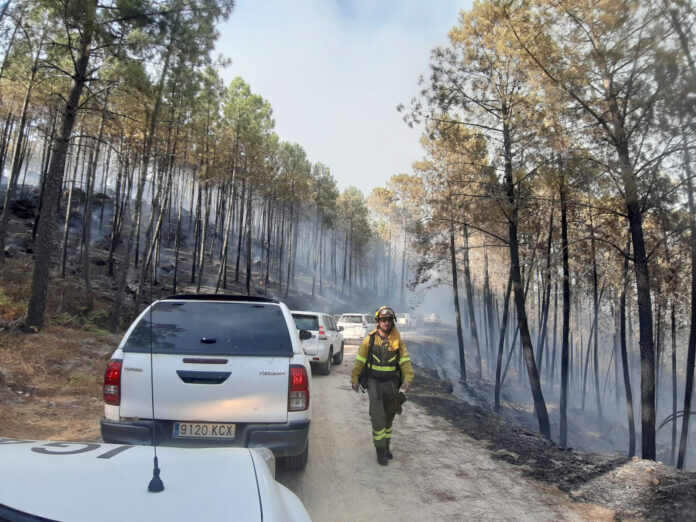 Incendio en Santa Cruz del Valle