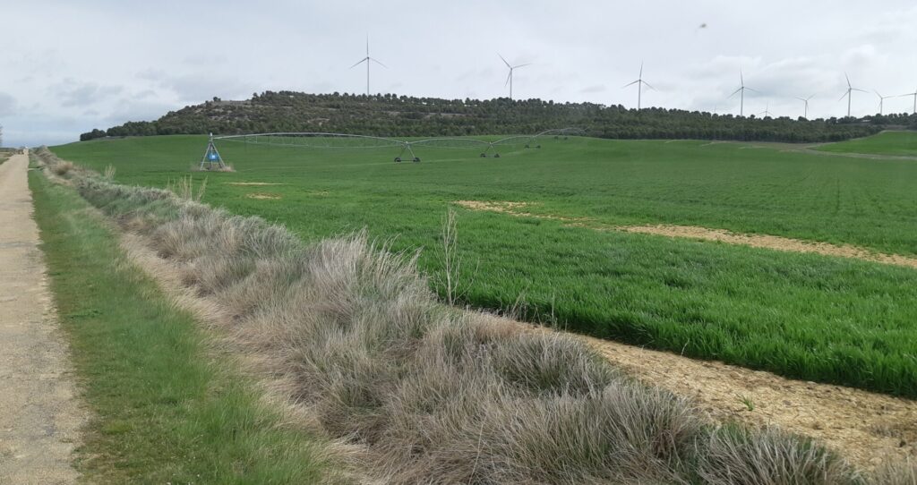 Imagen de archivo: Zona modernizada de regadío en el Canal del Pisuerga, entre Villodre y Boadilla del Camino.