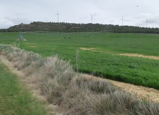 Imagen de archivo: Zona modernizada de regadío en el Canal del Pisuerga, entre Villodre y Boadilla del Camino.