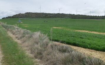 Agua regadíos 15 días