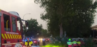 Tormenta troncha arboles