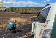 La Guardia Civil investiga incendios forestales provocados en Palencia - Verano 2022