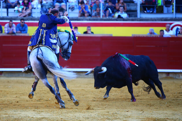 Corrida Rejones San Antolín Palencia 4 sep (22)