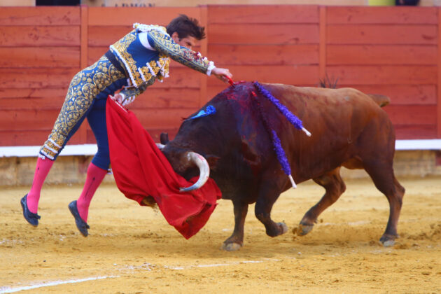 Corrida de Toros en Palencia - San Antolín 2022 2 de septiembre