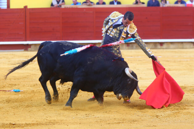 Corrida de Toros en Palencia - San Antolín 2022 2 de septiembre