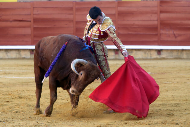 Corrida de Toros en Palencia - San Antolín 2022 2 de septiembre