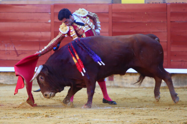 Corrida de Toros en Palencia - San Antolín 2022 2 de septiembre