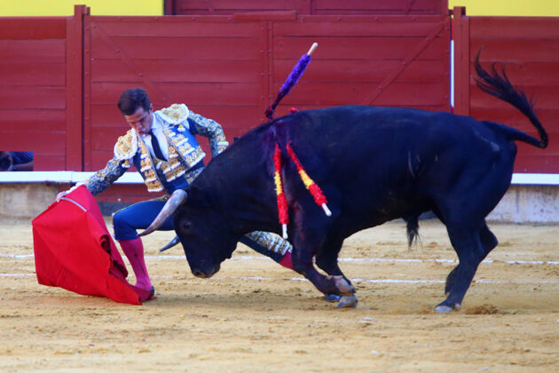 Corrida de Toros en Palencia - San Antolín 2022 2 de septiembre