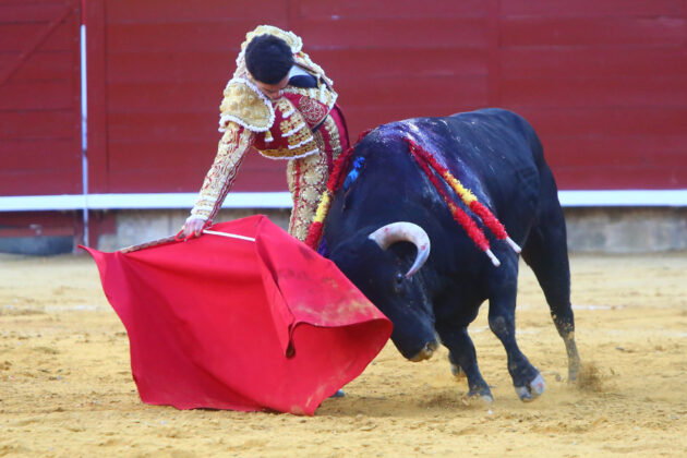 Corrida de Toros en Palencia - San Antolín 2022 2 de septiembre