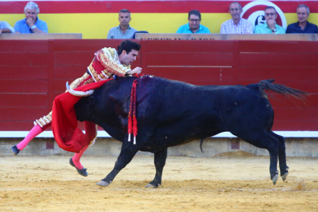 Corrida de Toros en Palencia - San Antolín 2022 2 de septiembre