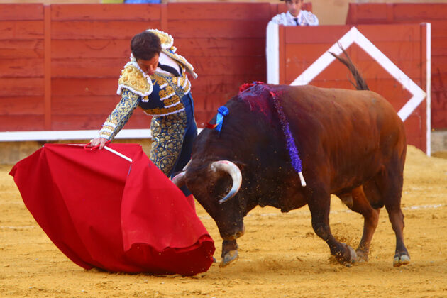 Corrida de Toros en Palencia - San Antolín 2022 2 de septiembre