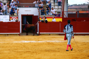 indulto Luque Palencia