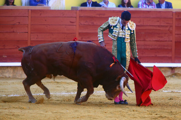 Toros en Palencia San Antolín 3 septiembre 2022