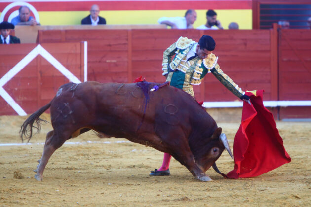 Toros en Palencia San Antolín 3 septiembre 2022