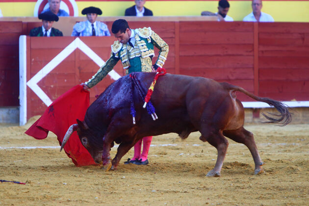 Toros en Palencia San Antolín 3 septiembre 2022