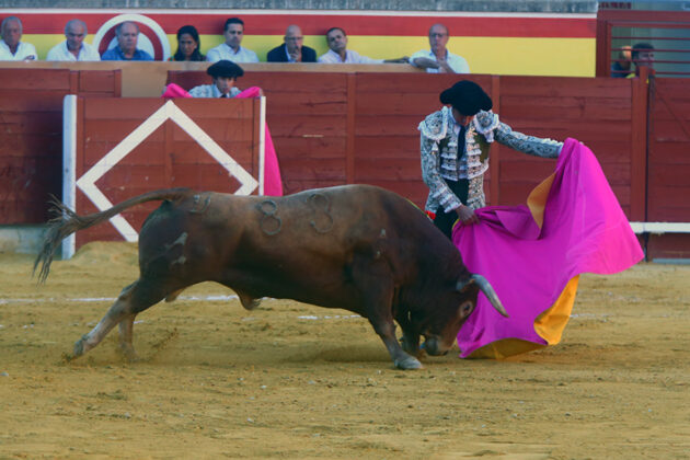 Toros en Palencia San Antolín 3 septiembre 2022