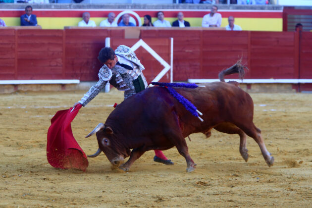 Toros en Palencia San Antolín 3 septiembre 2022