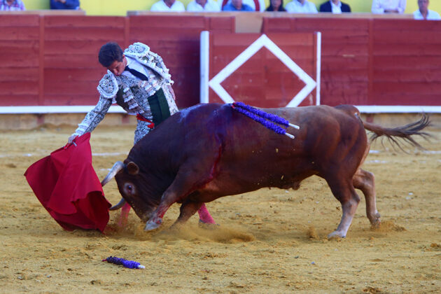 Toros en Palencia San Antolín 3 septiembre 2022