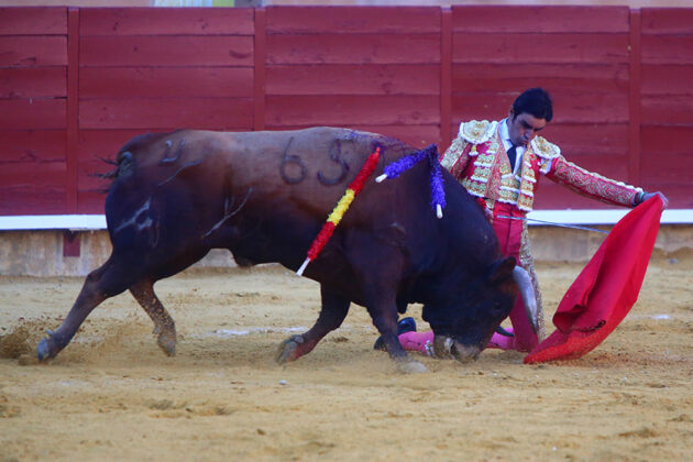 Toros en Palencia San Antolín 3 septiembre 2022