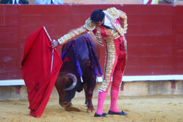 Toros en Palencia San Antolín 3 septiembre 2022