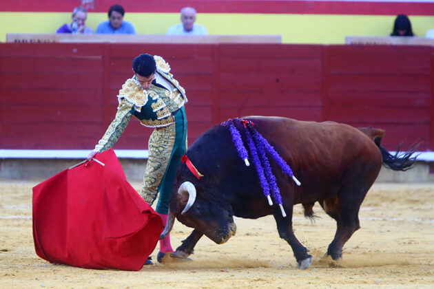 Toros en Palencia San Antolín 3 septiembre 2022